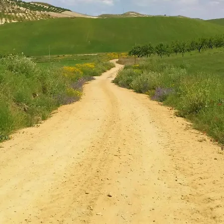 Casa Montegrappa - Tra Etna E Mare Parcheggio Gratuito 아파트 제프라나에트니아