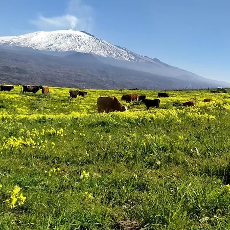 아파트 Casa Montegrappa - Tra Etna E Mare Parcheggio Gratuito