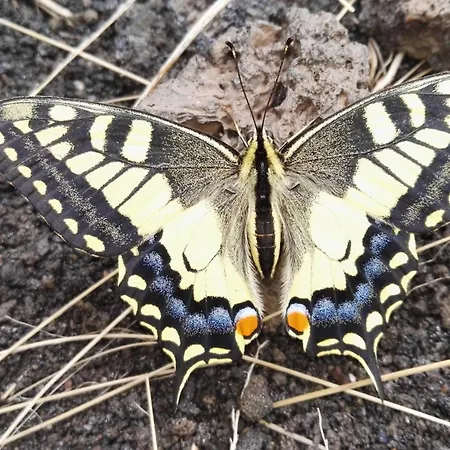 Casa Montegrappa - Tra Etna E Mare Parcheggio Gratuito * 제프라나에트니아