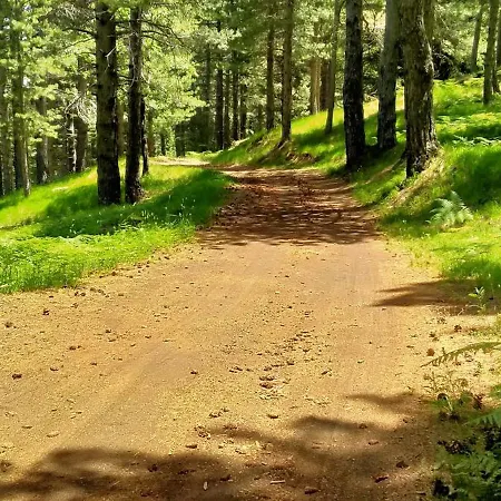 Casa Montegrappa - Tra Etna E Mare Parcheggio Gratuito 아파트 *